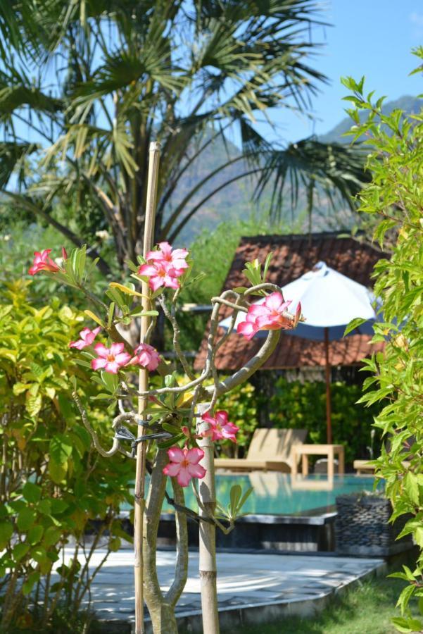 Sunia Loka Bungalows & Dive Center Pemuteran  Exterior photo